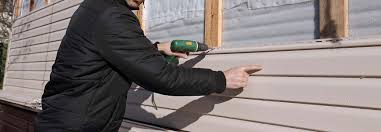 Best Custom Siding Design  in Tok, AK